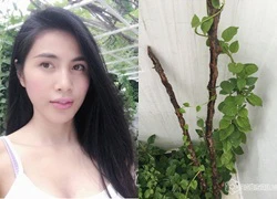 Nếu không là ca sĩ, Thủy Tiên sẽ trở thành 'nông dân' đích thực