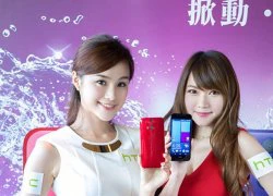 Ngắm hotgirl nóng bỏng bên smartphone