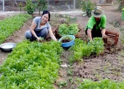 Nở rộ phong trào bán rau qua mạng của mẹ "bỉm sữa"