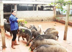 Nông dân - siêu thị cần những cái "bắt tay" bền chặt