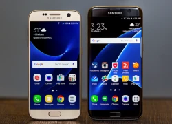 Samsung thắng lớn nhờ Galaxy S7