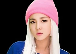 Sandara Park (2EN1) đến Việt Nam vào tháng 8