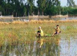 Sang Campuchia bắt cá, 1 thanh niên bị bắn chết