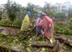 Sau bão số 1, Hà nội dẫn đầu số người thương vong