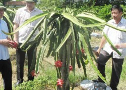 Tăng cung cấp thông tin và phản ánh trăn trở của nông dân