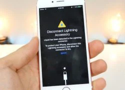 Thêm bằng chứng iPhone 7 có khả năng chống nước