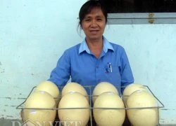 Trứng "khổng lồ" 1,5kg giá hơn trăm nghìn