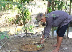 VKSND Tối cao chỉ đạo kiểm tra vụ 'quan xã siết tài sản trừ nợ'