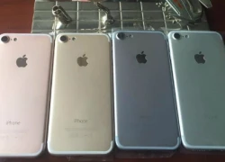 Vỏ iPhone 7 xuất hiện ở Việt Nam