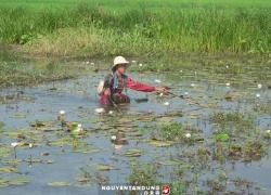 Vụ vượt biên xiệt cá ở Campuchia: Thêm nạn nhân tử vong