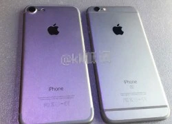 Xuất hiện video so sánh iPhone 7 và iPhone 6S