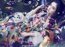 Angelababy như công chúa giữa tin đồn mang thai