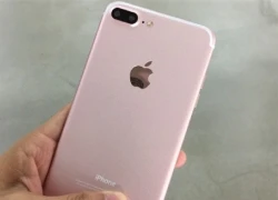 Ảnh thực tế iPhone 7 Plus màu vàng hồng