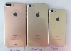 Apple khai tử iPhone 7 Pro, chỉ còn 2 phiên bản