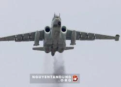 Báo Mỹ khen nức nở "hung thần" diệt tăng Su-25 của Nga