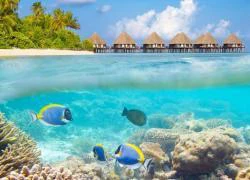 Bất ngờ với hai mặt đối lập của thiên đường Maldives