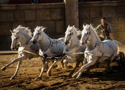 'Ben-Hur' phiên bản 2016 có thể gây lỗ 100 triệu USD