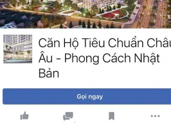 Cảnh giác với chiêu rao bán căn hộ tiêu chuẩn Mỹ, Nhật