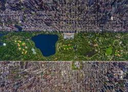 Central Park &#8211; Mảng xanh khổng lồ giữa New York