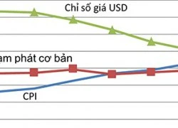 Chỉ số CPI và diễn biến thị trường tiền tệ: Mục tiêu kép cần bảo vệ