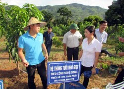 Công nghệ tưới "hơn cả Israel" cho vùng cao Sông Mã