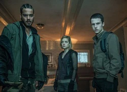 'Don't Breathe': Bài học đắt giá cho những kẻ trộm cướp