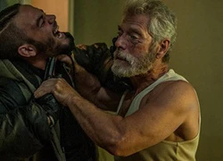 Don't Breathe - Kịch tính và đầy trăn trở