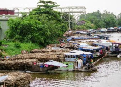 Giá đường Việt Nam gấp đôi Thái Lan