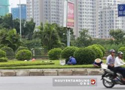 Hà Nội chi 700 tỷ cắt cỏ: "Đã phanh phui ra thì nên điều tra tới nơi tới chốn"