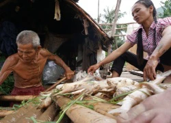 Hàng chục tấn cá chết bất thường trên sông Mã