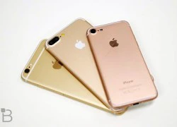 iPhone 7 Plus sẽ có màn hình Quad HD