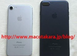 iPhone 7 sẽ có năm màu