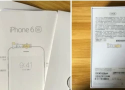 iPhone mới sẽ mang tên iPhone 6 SE