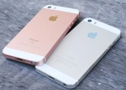 iPhone SE và iPhone 5S - một dáng vẻ hai số phận