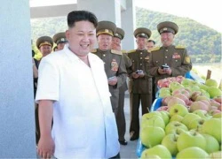 Kim Jong-un tươi cười đi thăm trang trại