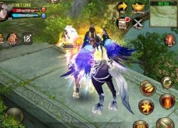 Lạc giữa dàn mỹ nữ và cánh, game thủ TLBB3D Mobile đau đầu tìm hướng đua top mới