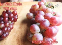 Làm sao để phân biệt nho Ninh Thuận và nho Trung Quốc?