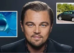 Leonardo DiCaprio: Thành viên hội mê gái và 2 lần suýt chết