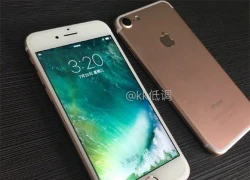 Lộ bo mạch chủ của iPhone 7, cấu hình ấn tượng