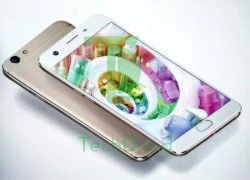 Lộ giá Oppo F1s trước khi ra mắt