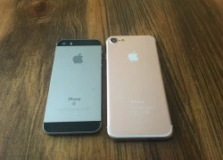 Mô hình iPhone 7 đọ dáng iPhone SE, 6S và 6S Plus