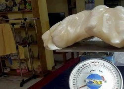 Ngư dân Philippines phát hiện ngọc trai khổng lồ 34 kg