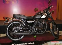 Ra mắt Kawasaki W800 giá 423,5 triệu đồng