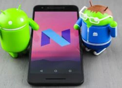 Rò rỉ: Android N chính thức được phát hành từ ngày 5/8