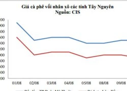 Sản lượng cà phê giảm 7% trong năm 20162017