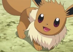 Tất tần tật về Eevee: Pokemon đáng yêu và vô cùng đặc biệt trong Pokemon GO