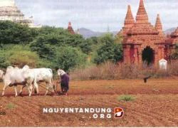 Trả đất cho dân thách thức của chính phủ Myanmar