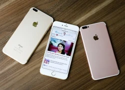 Vỏ độ iPhone 7 xuất hiện ở Việt Nam