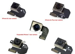 Xác nhận iPhone 7 có camera chống rung quang học