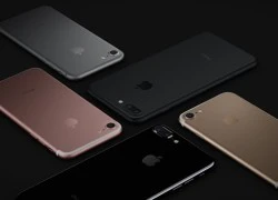 Apple có thể kiếm 250 USD cho mỗi chiếc iPhone 7